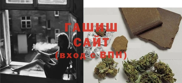 тгк Дмитриев