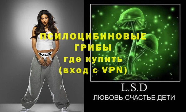 тгк Дмитриев