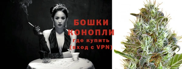 крисы Дмитров