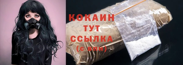 крисы Дмитров
