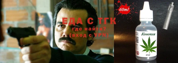 тгк Дмитриев