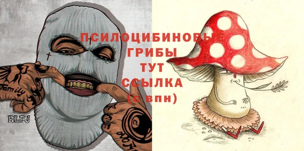 крисы Дмитров