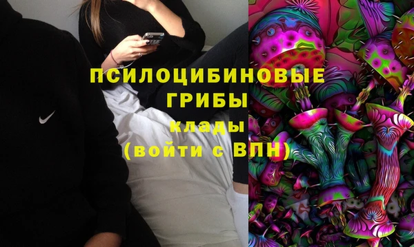 тгк Дмитриев
