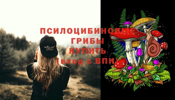 марихуана Дмитровск