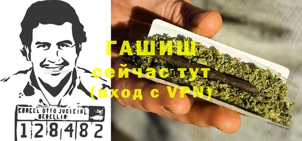 тгк Дмитриев