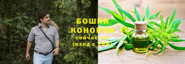 тгк Дмитриев