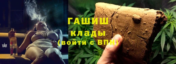 тгк Дмитриев