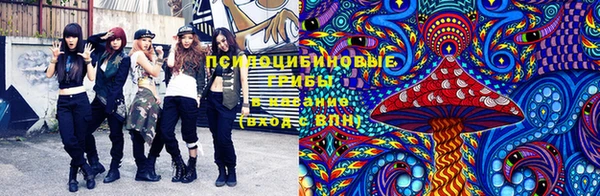 крисы Дмитров