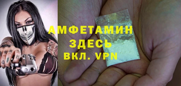 тгк Дмитриев