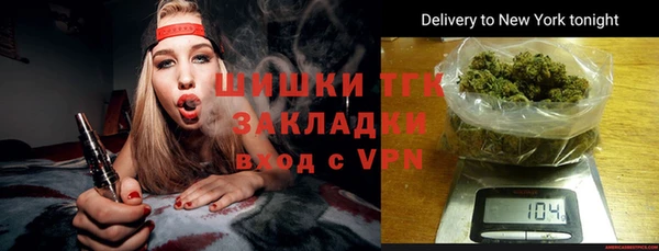 крисы Дмитров