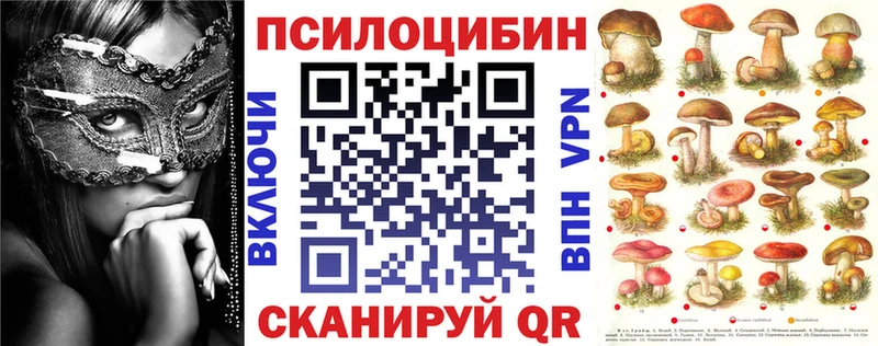 Псилоцибиновые грибы MAGIC MUSHROOMS  blacksprut tor  Димитровград 